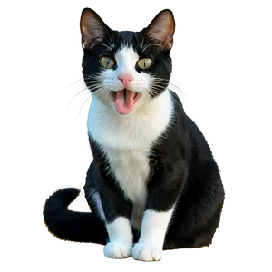 Happy Tuxedo Cat Png 2 PNG image