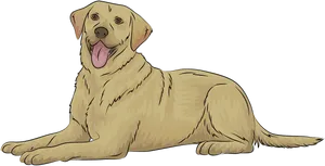 Happy Yellow Labrador Resting.png PNG image