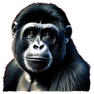 Harambe Animal Rights PNG 06262024 PNG