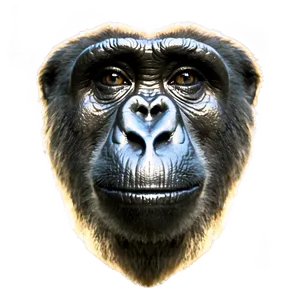 Harambe Animal Rights PNG Equ PNG