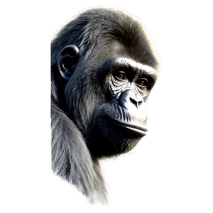 Harambe In Memory Png 66 PNG image