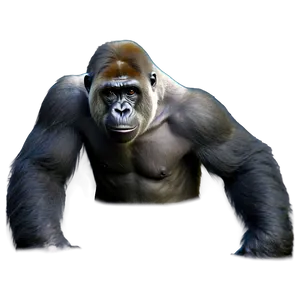 Harambe Wildlife Conservation PNG 36
