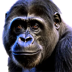 Harambe Wildlife Conservation PNG Okg PNG