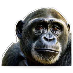 Harambe Wildlife Hero PNG Fly PNG