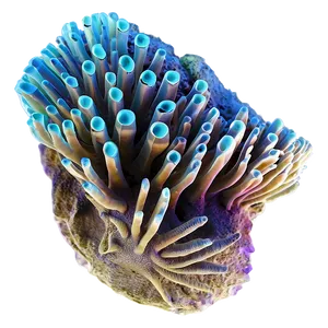Hard Coral Structure Png 86 PNG image