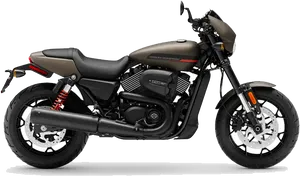 Harley Davidson Motorcycle Profile