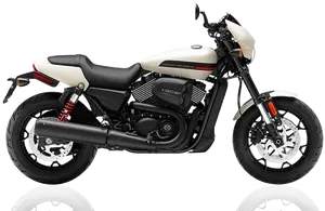Harley Davidson Motorcycle Profile