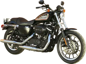 Harley Davidson Motorcycle Profile