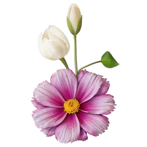"harmony In Blooms: Balanced Flower PNG" A