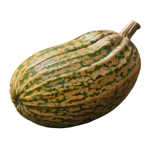 Harvest Gourd PNG 06292024