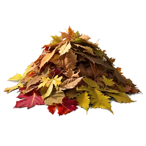 Harvest Leaves Pile Png 06212024 PNG image