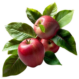 Harvest Red Apple PNG 06272024
