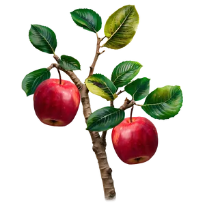 Harvest Red Apple PNG 85