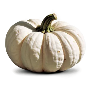 Harvest White Pumpkin Png 06212024 PNG image