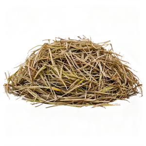 Harvested Hay Circle Png Xml37 PNG image