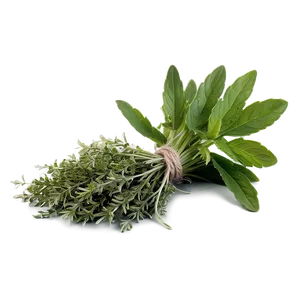Harvested Herb PNG Fon22 PNG