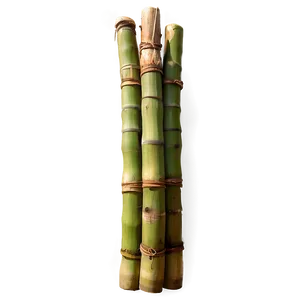 Harvested Sugarcane Bundle Png 93 PNG image