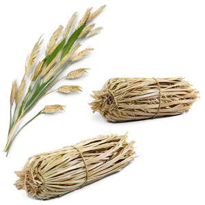 Harvested Trigo Sheaves Png Rnm PNG image