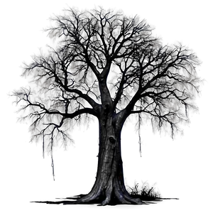 Haunted Black Tree Png 06212024 PNG image