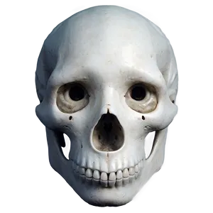 Hauntingly Beautiful PNG 6 PNG