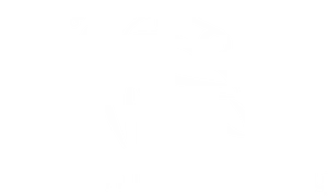 Hawaiian Dive Company Logo PNG image