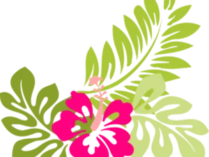 Hawaiian Hibiscus Floral Design PNG image