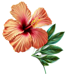 Hawaiian Hibiscus Png 05232024 PNG image