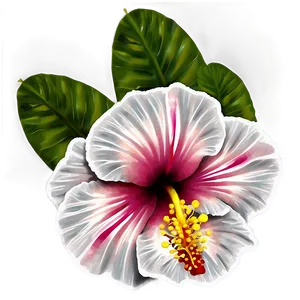 Hawaiian Hibiscus PNG 74