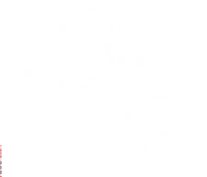 Hawaiian_ Hibiscus_ Silhouette PNG image