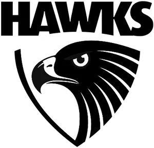 Hawks Sports Team Logo PNG