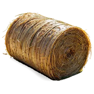 Hay D