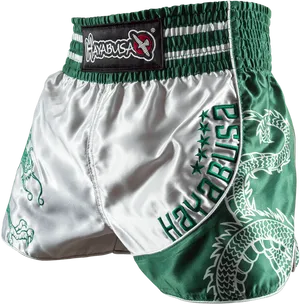 Hayabusa Muay Thai Shorts Green Dragon PNG image