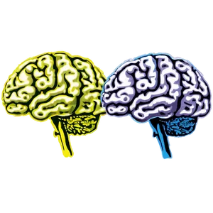 Healthy Brain Png 38 PNG image