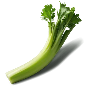 Healthy Celery PNG Hwb98 PNG