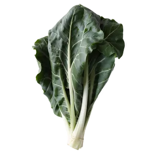 Healthy Collard Greens Png 74 PNG image