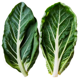 Healthy Collard Greens PNG Nve