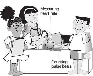 Heart Health Education Cartoon