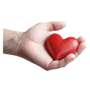 Heart In Hand Symbol PNG D