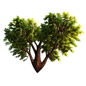 Heart In Nature Scene PNG B