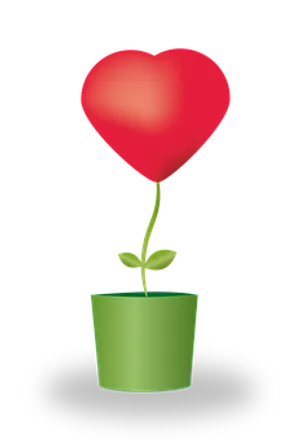 Heart Plant Growth Concept