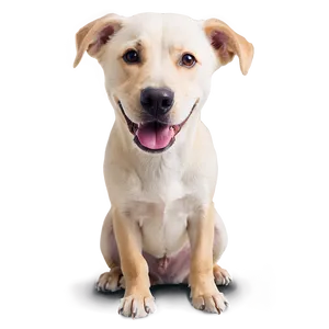 Heartwarming Dogs PNG 05242024