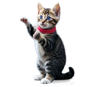 Heartwarming Kitten PNG 05232024