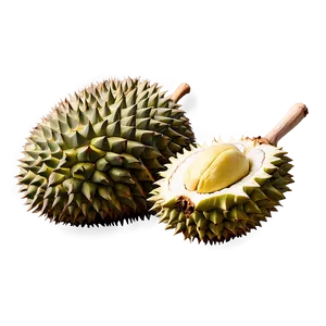Hearty Durian PNG 27
