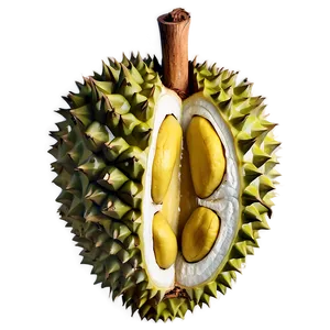 Hearty Durian PNG 38