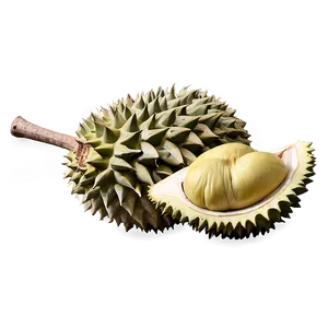 Hearty Durian PNG 49