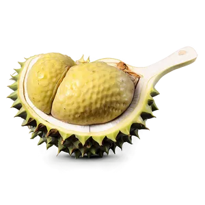 Hearty Durian PNG 95