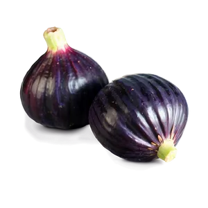 Hearty Fig PNG Tia97