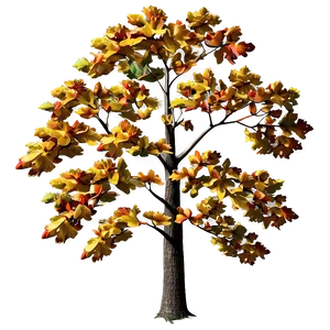"hearty Oak Tree In Autumn PNG" 13