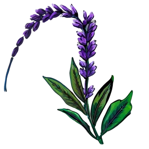 Heather Flower Art PNG 05252024