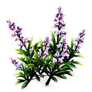 Heather Flower Bush PNG Cyt41 PNG
